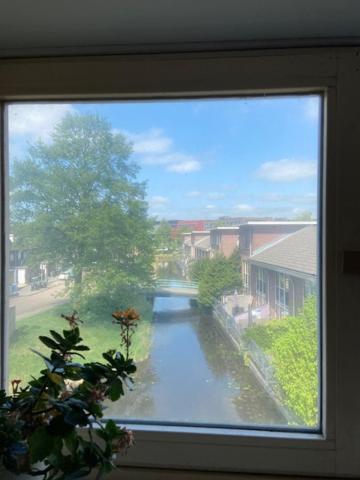 Apartament Tinyhouse Woody At The Water Zaandam Zewnętrze zdjęcie