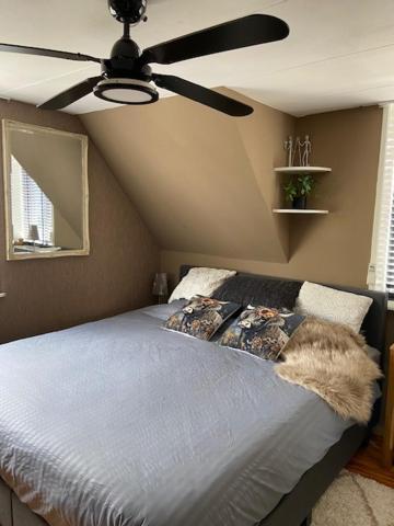 Apartament Tinyhouse Woody At The Water Zaandam Zewnętrze zdjęcie