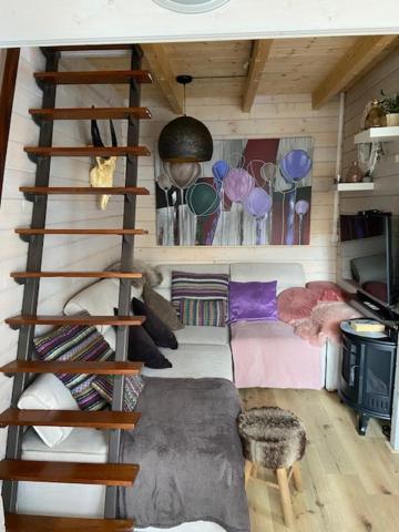 Apartament Tinyhouse Woody At The Water Zaandam Zewnętrze zdjęcie