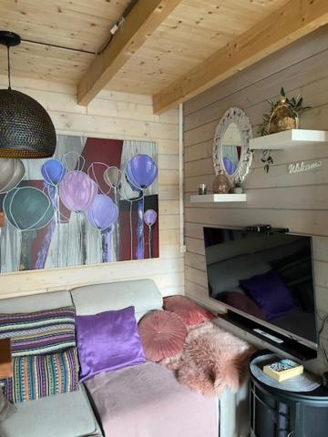 Apartament Tinyhouse Woody At The Water Zaandam Zewnętrze zdjęcie