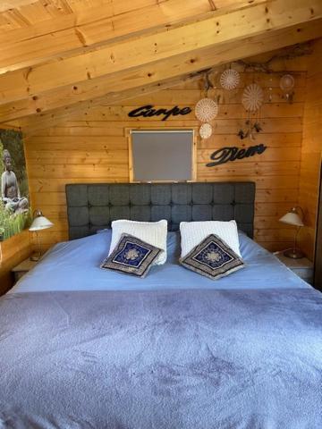 Apartament Tinyhouse Woody At The Water Zaandam Zewnętrze zdjęcie